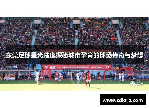 东莞足球星光璀璨探秘城市孕育的球场传奇与梦想