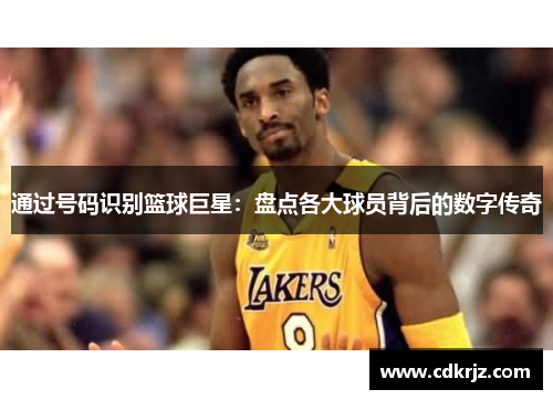通过号码识别篮球巨星：盘点各大球员背后的数字传奇
